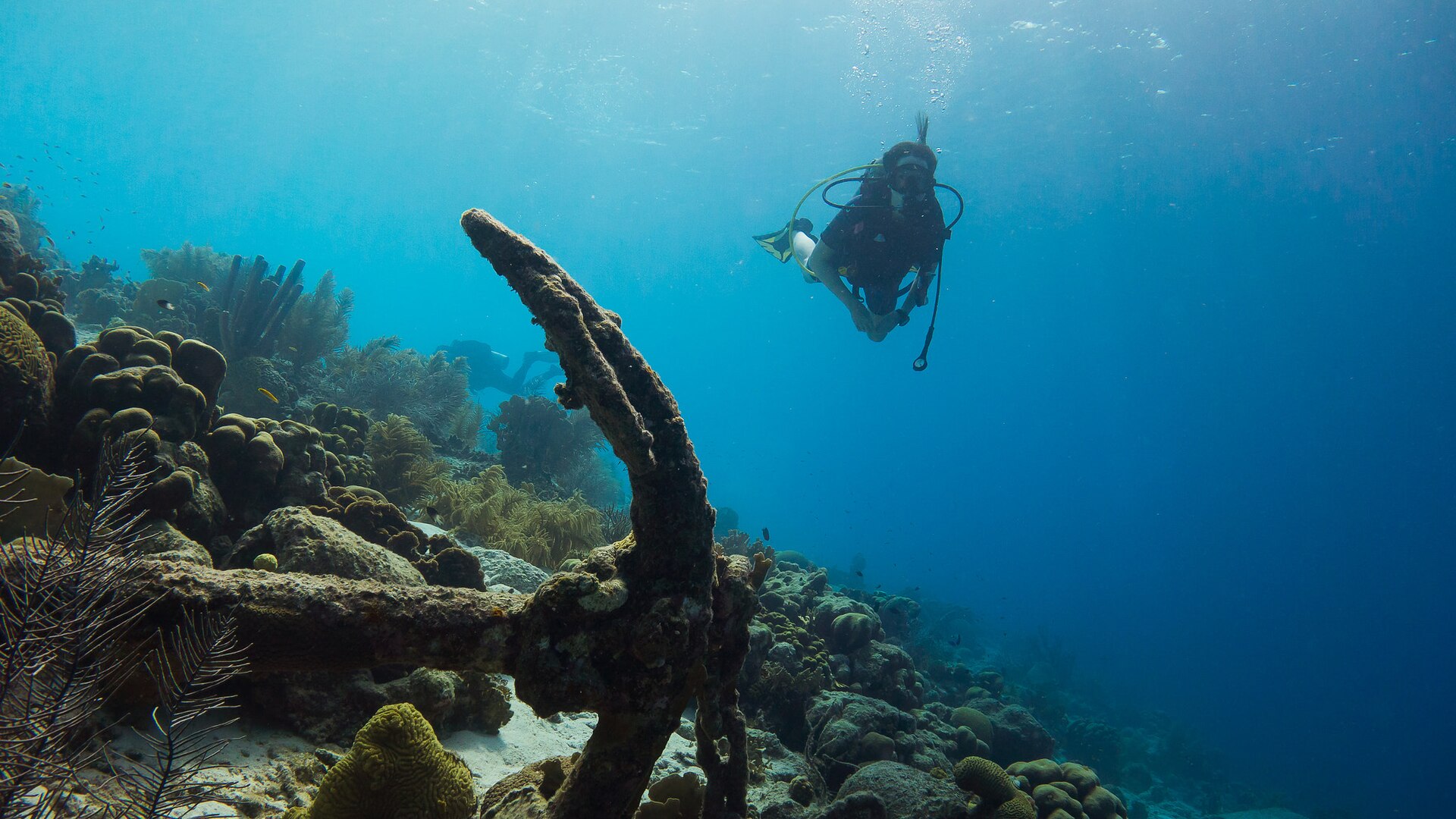 500px provided description: The entire coastline of Bonaire's leeside is fringed by a beautiful coral reef, most of it accessible from shore. The reef starts at about two meter depth, so you could easily stay the entire dive at only a few meters depth if you want. [#animal ,#underwater ,#diving ,#diver ,#dive ,#coral ,#undersea ,#scuba ,#reef ,#scuba diving ,#scubadiving ,#scubadive]