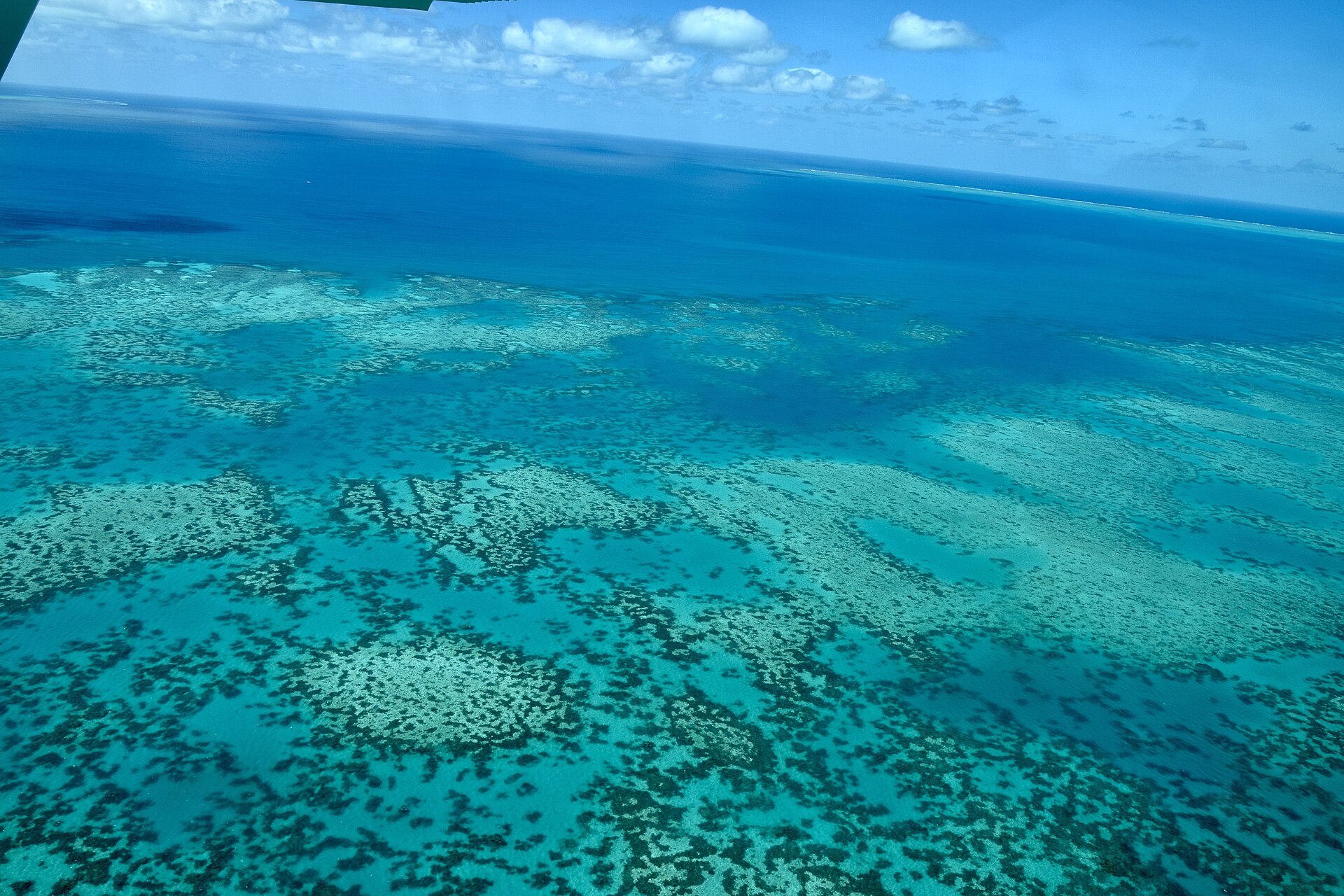 The Great Barrier Reef, Cairns, Queensland