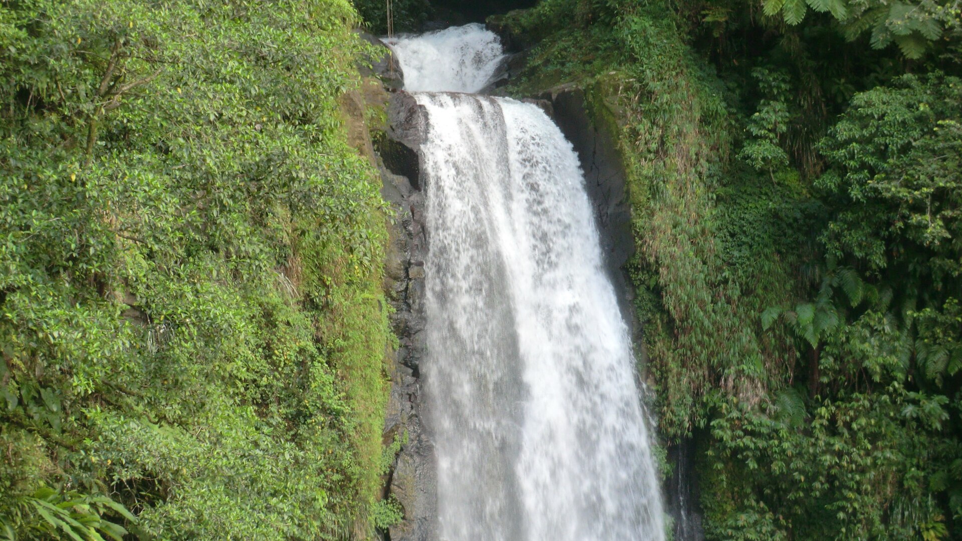 Morne Trois Pitons National Park is a tropical forest blended with scenic volcanic features. It was recognised as a World Heritage Site on 4 April 1995.
