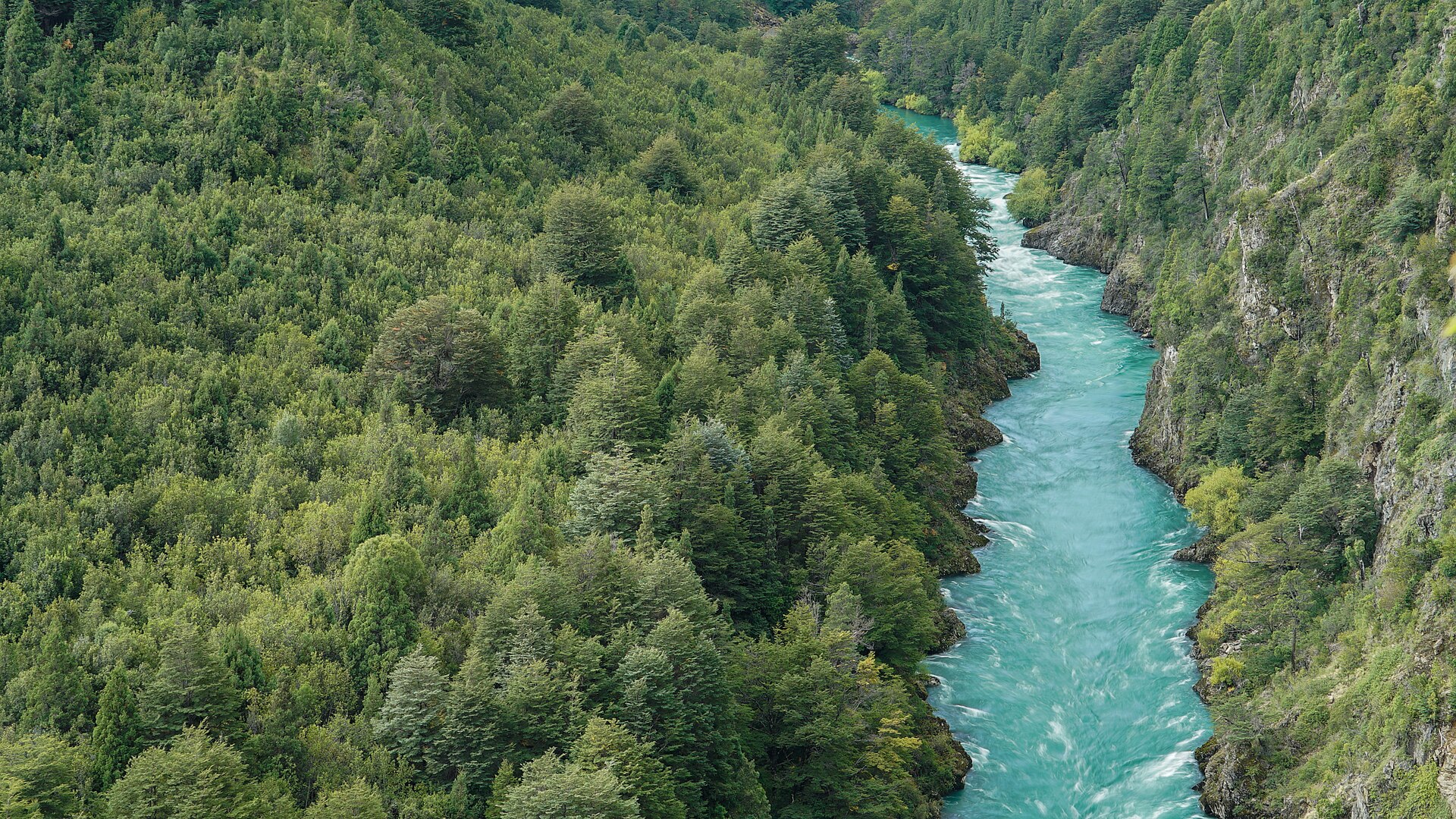 Reserva nacional Futaleufú