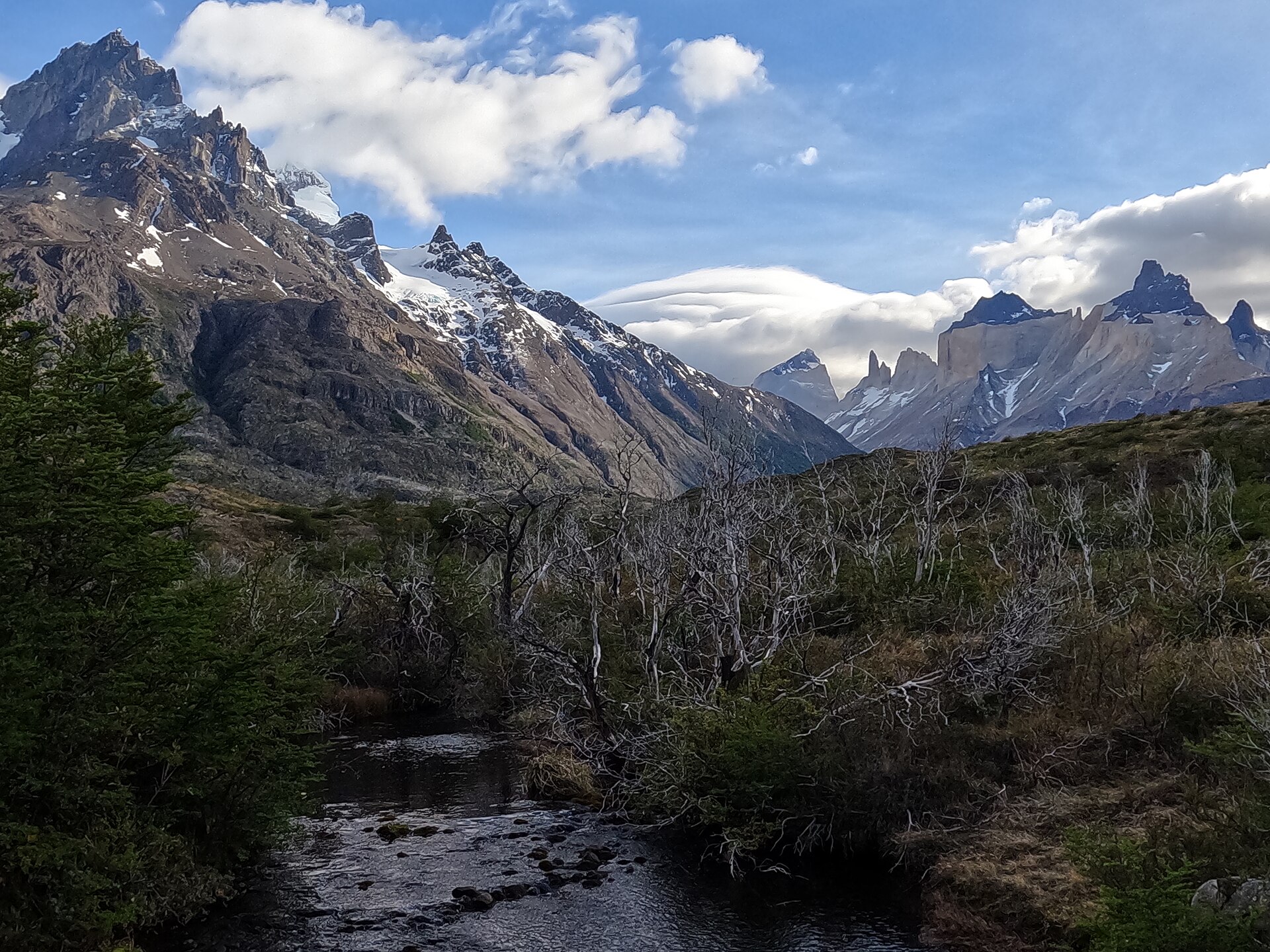Cerro Paine Grande and the Cuernos above forest and a river beside the W Trek in Torres del Paine